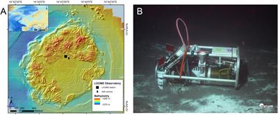 Impacts of an Eruption on Cold-Seep Microbial and Faunal Dynamics at a Mud Volcano